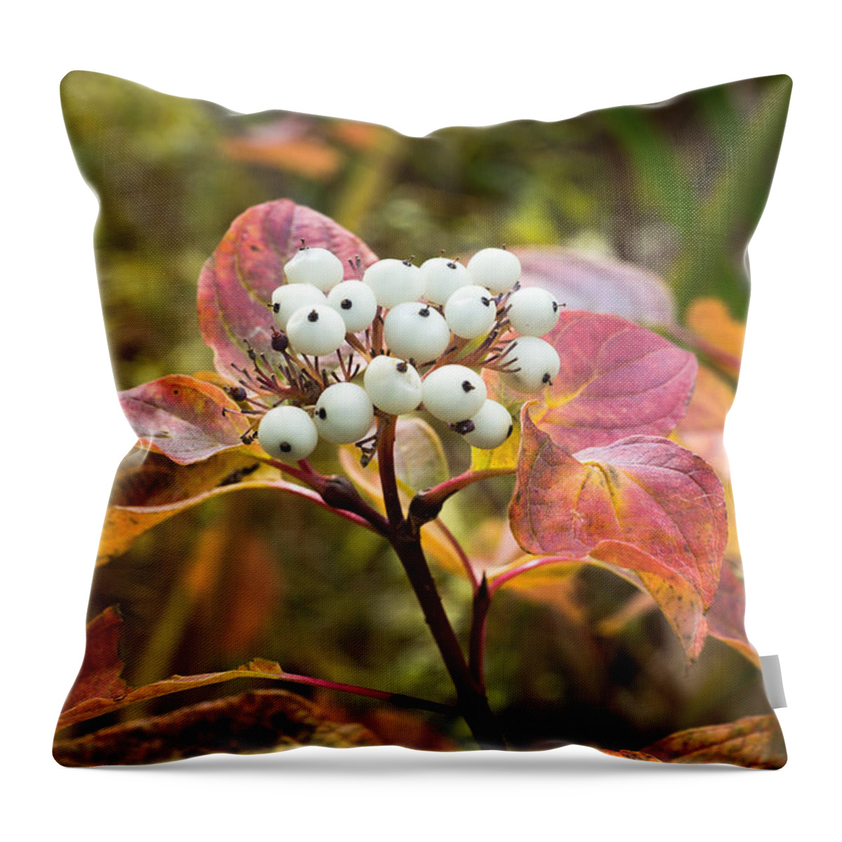 Red Throw Pillow featuring the photograph Sprig of Pearls by Bill Pevlor