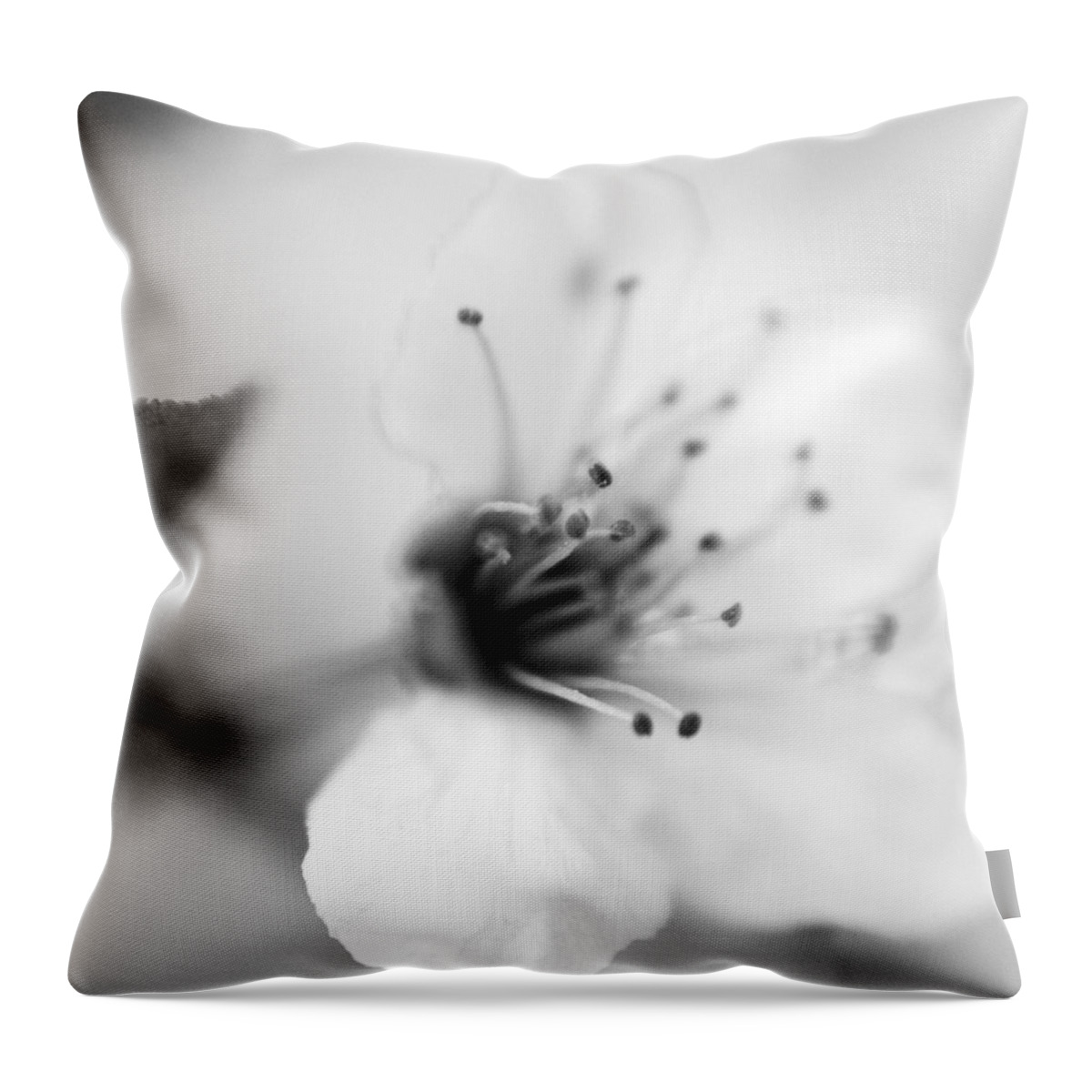 B&w Throw Pillow featuring the photograph Spring Blooms 0134 by Timothy Bischoff