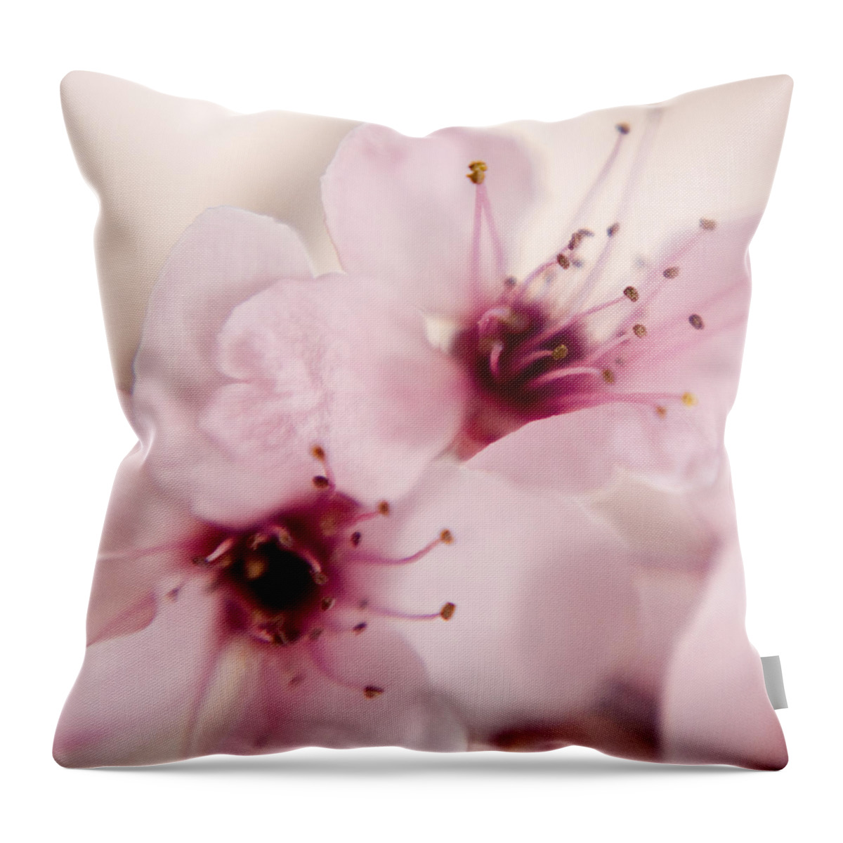 Spring Throw Pillow featuring the photograph Spring Blooms 0174 by Timothy Bischoff