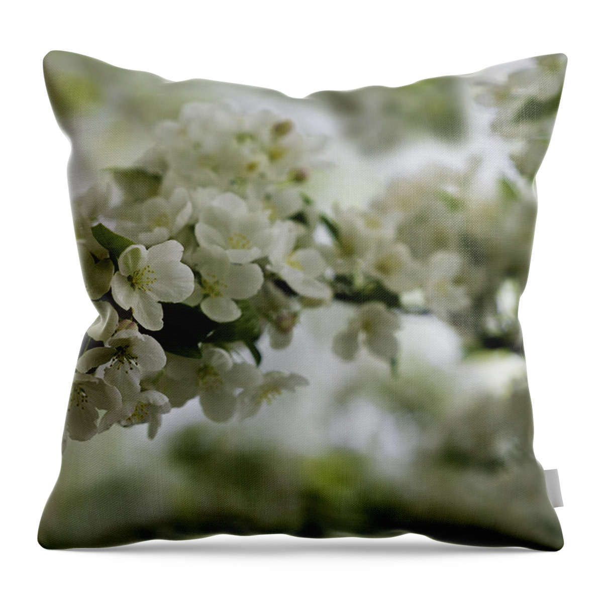Blooming Throw Pillow featuring the photograph Spring Bloosom by Sebastian Musial