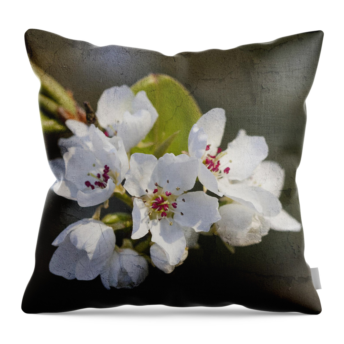 Pyrus Calleryana Throw Pillow featuring the photograph Spring Blossoms by Kathy Clark
