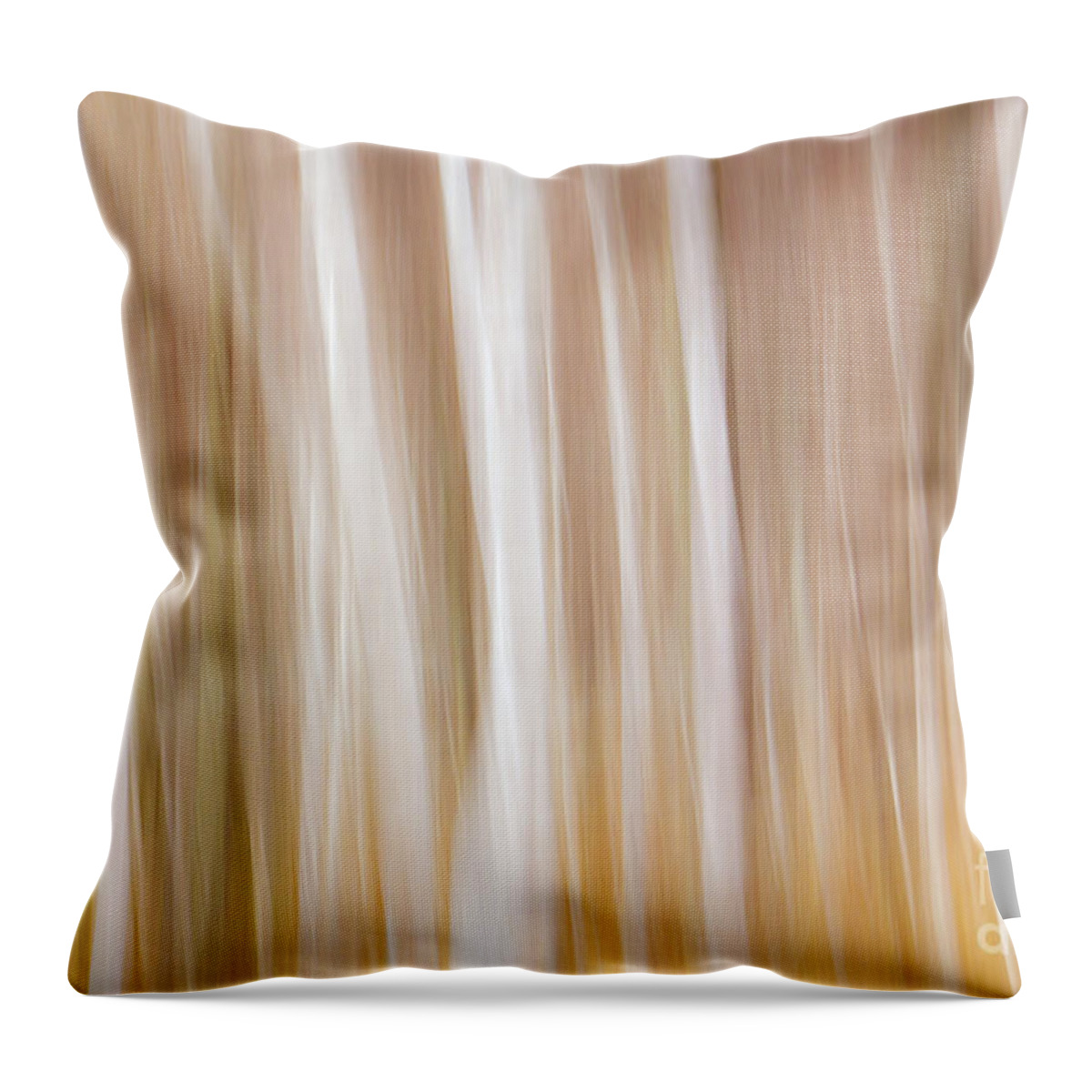 Maine Throw Pillow featuring the photograph Spring Colors by Karin Pinkham