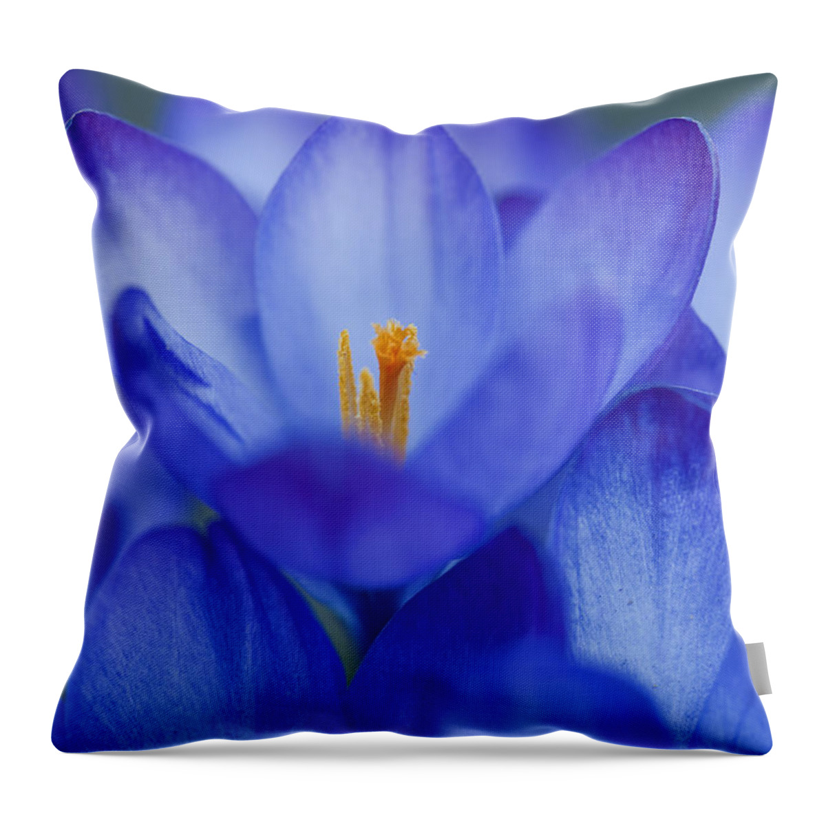 Crocus Throw Pillow featuring the photograph Spring Day by Jean-Pierre Ducondi