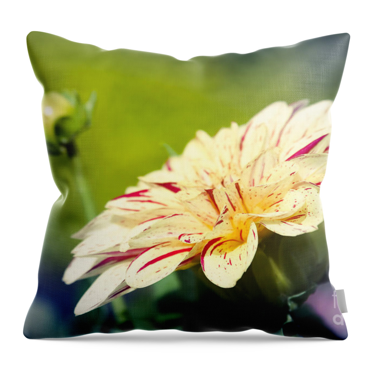 Flowers Throw Pillow featuring the photograph Spring Dream Jewel Tones by Sharon Mau