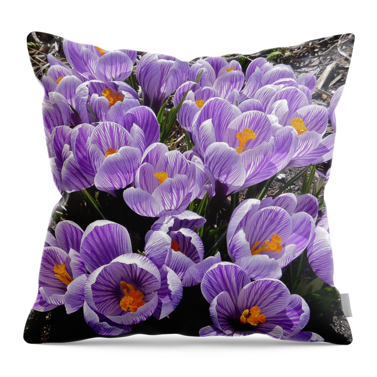 Landscape Throw Pillow featuring the photograph Spring faces by Ellen Paull