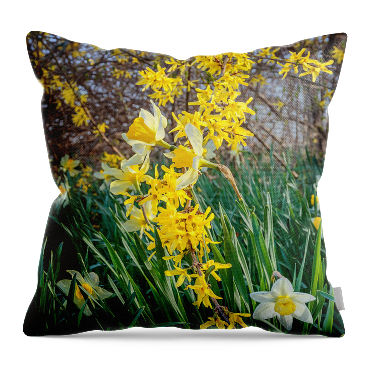 Daffodil Throw Pillow featuring the photograph Spring Floral by Bill Wakeley