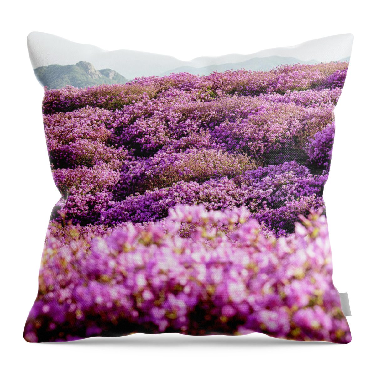 Purple Throw Pillow featuring the photograph Spring Flowers At The Hwangmaesan by Insung Jeon