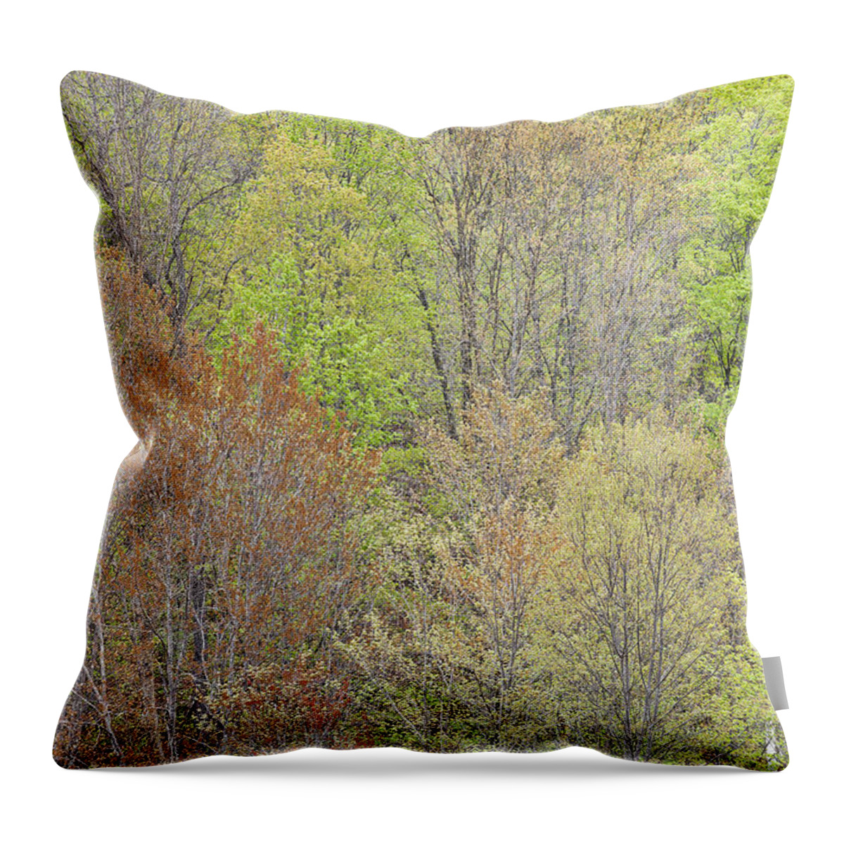 Spring Throw Pillow featuring the photograph Spring Hillside Foliage by Alan L Graham