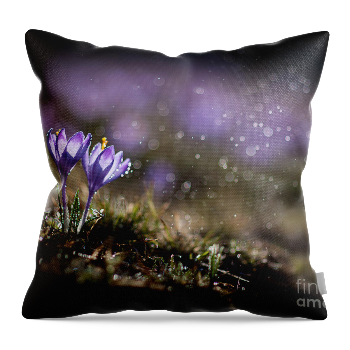 Spring Throw Pillow featuring the photograph Spring impression I by Jaroslaw Blaminsky