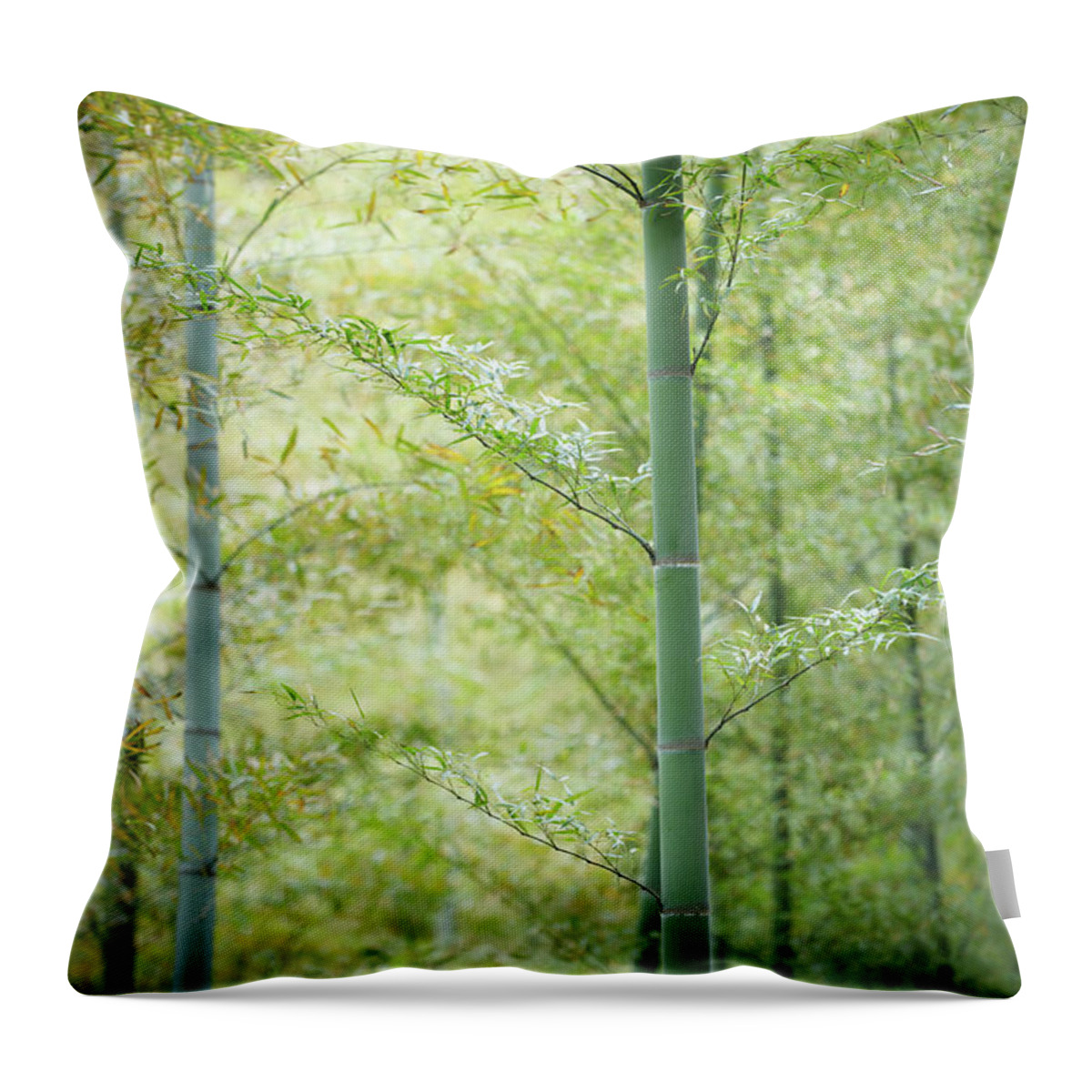 Tropical Rainforest Throw Pillow featuring the photograph Spring In Bamboo Forest by Sandsun