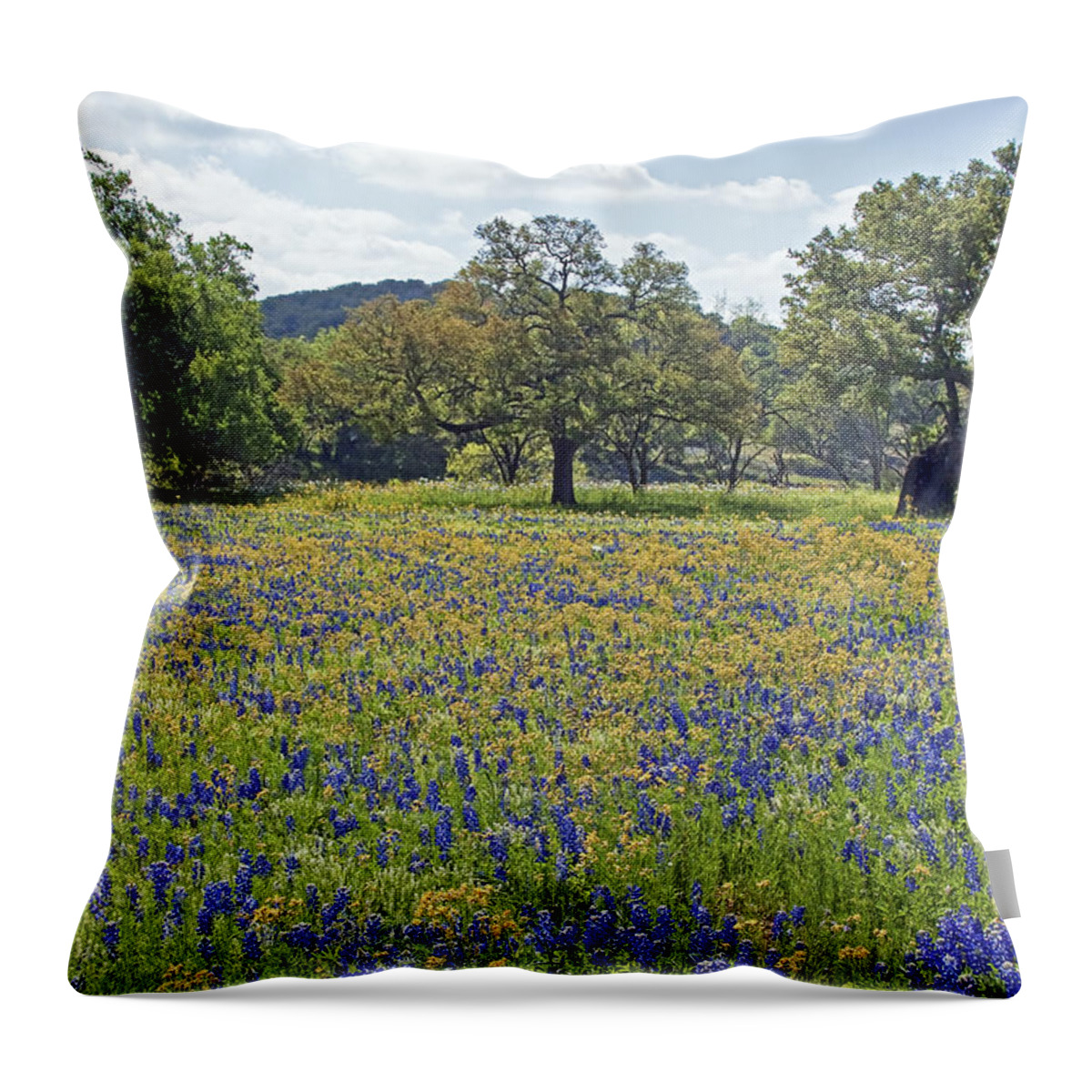 Yellow Throw Pillow featuring the photograph Spring in the Texas Hill Country by Gary Holmes