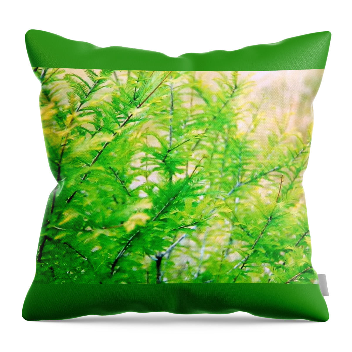 Lovely Bright Throw Pillow featuring the photograph Spring Cypress Beauty by Belinda Lee