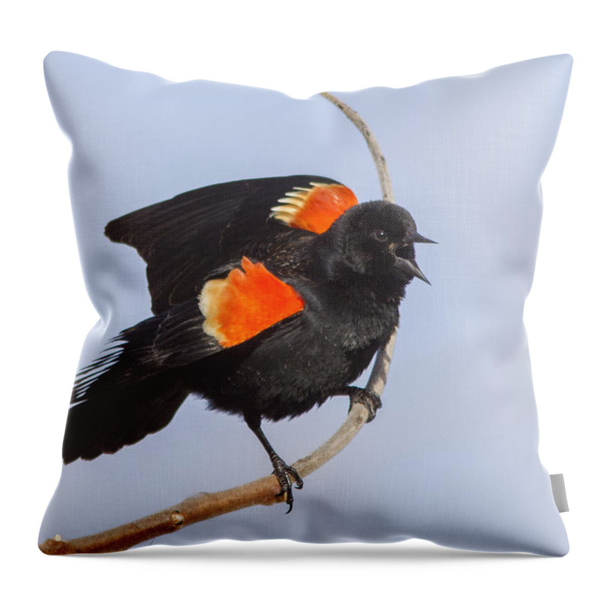 Animal Throw Pillow featuring the photograph Spring is here by Mircea Costina Photography
