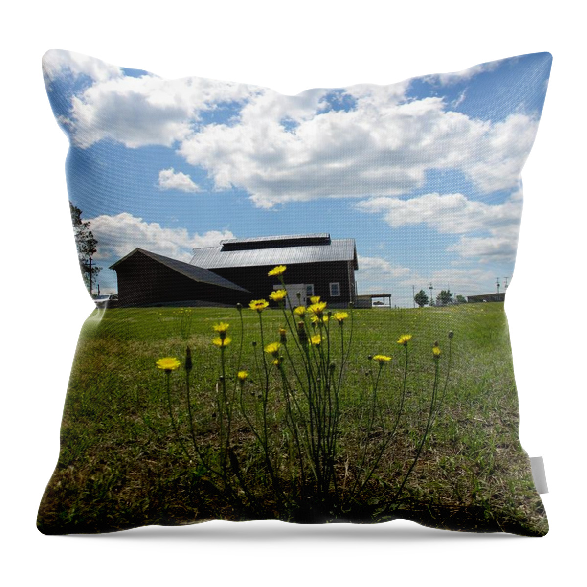 Spring Throw Pillow featuring the photograph Spring On The Old Farm by Matthew Seufer