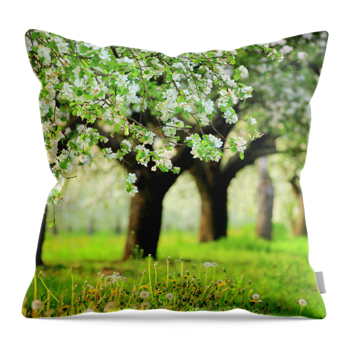 Environmental Conservation Throw Pillow featuring the photograph Spring Orchard - Blooming Trees by Konradlew