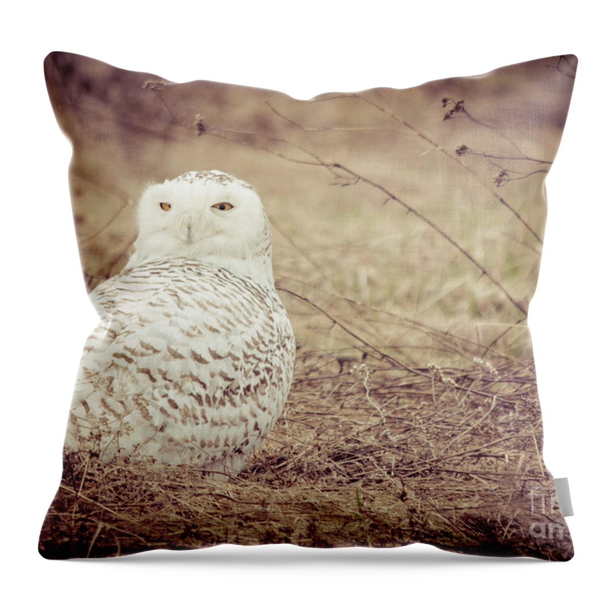 Landscape Throw Pillow featuring the photograph Spring Snowy by Cheryl Baxter