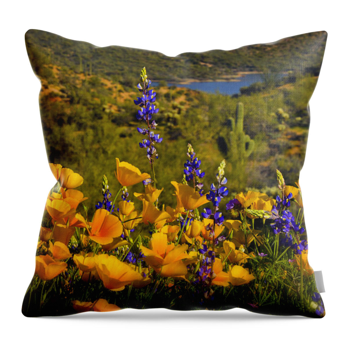 Poppies Throw Pillow featuring the photograph Spring Southwest Style by Saija Lehtonen