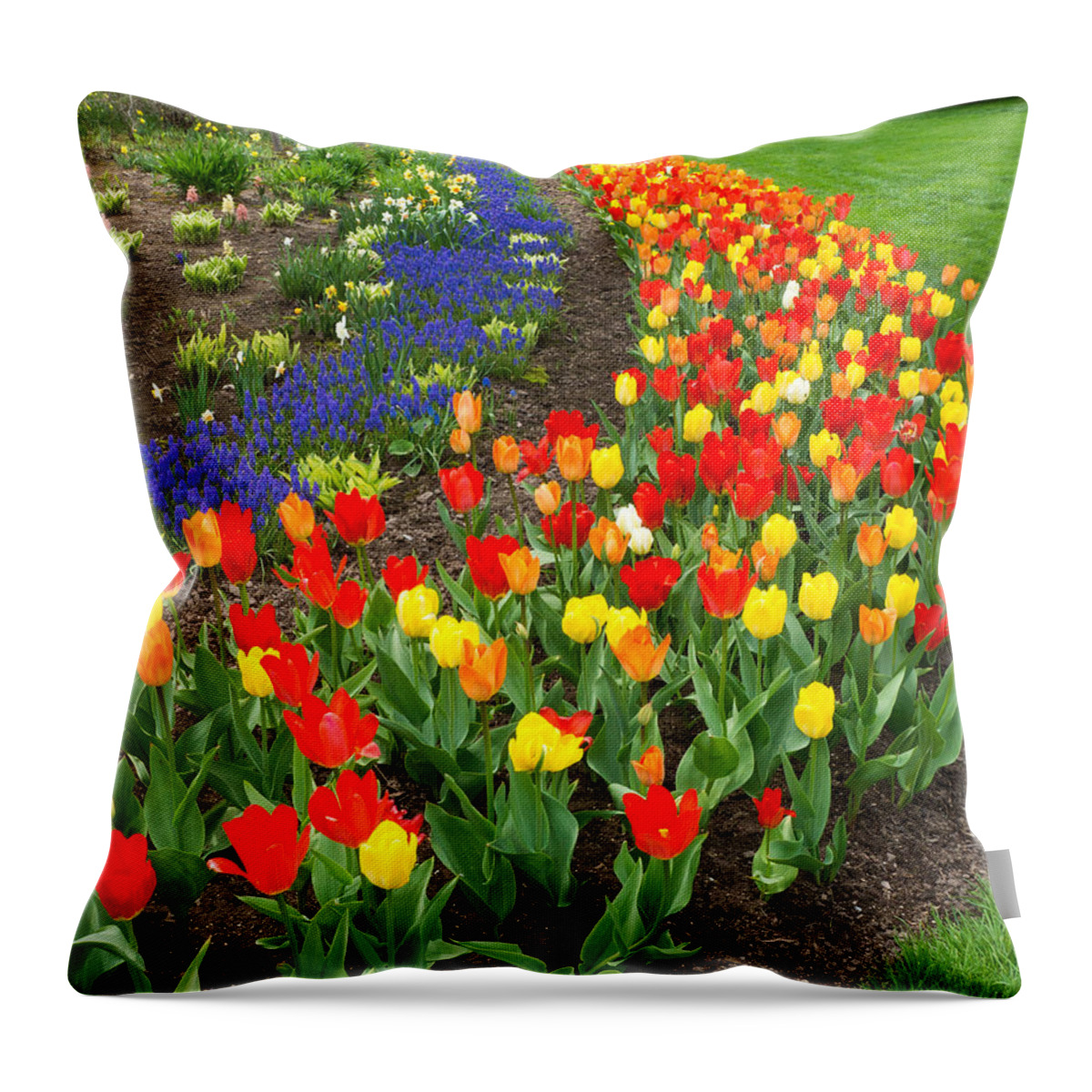 Blue Throw Pillow featuring the photograph Spring Streaming By by Bill Pevlor