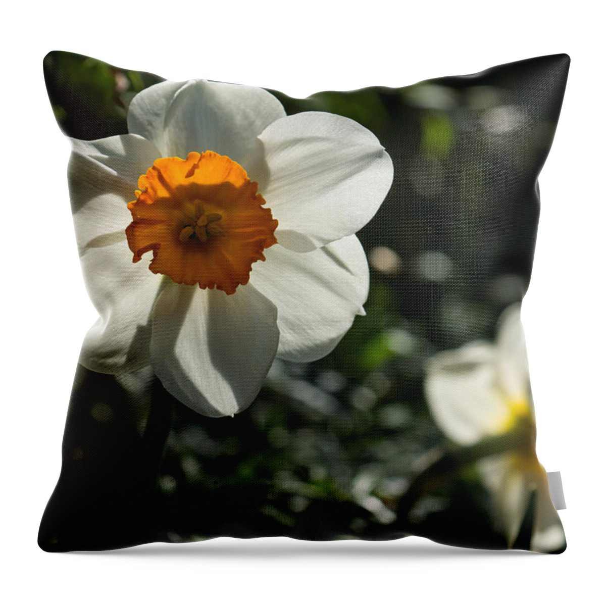 Narcissus Throw Pillow featuring the photograph Spring Sunshine and Blooms by Georgia Mizuleva