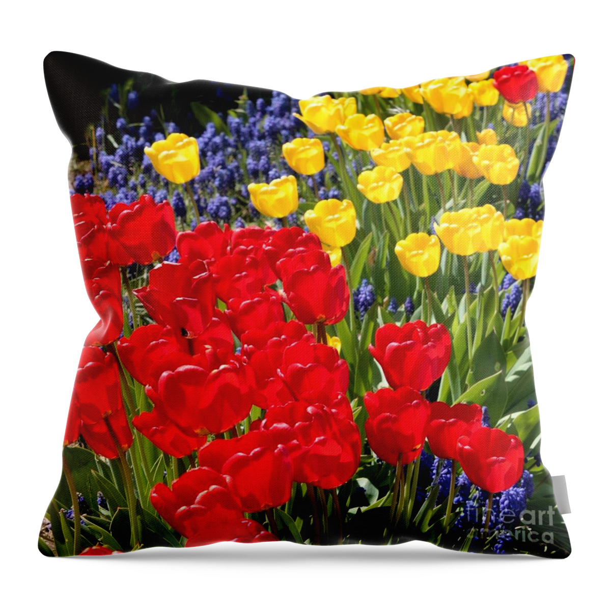 Spring Throw Pillow featuring the photograph Spring Sunshine by Carol Groenen