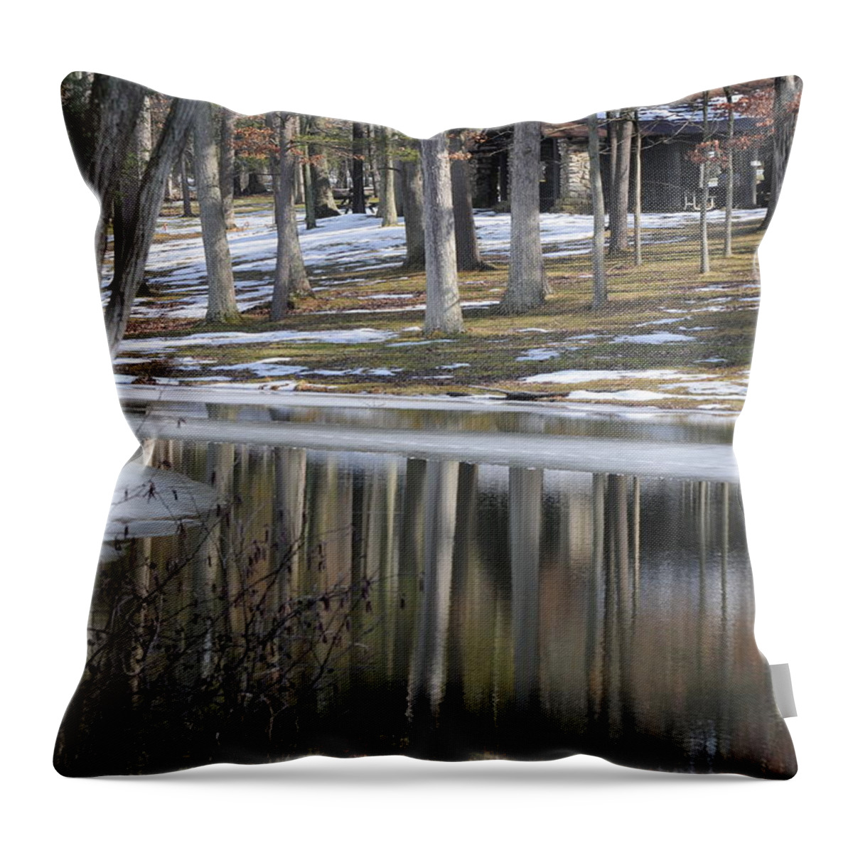 Landscape Throw Pillow featuring the photograph Spring Thaw by Jack Harries