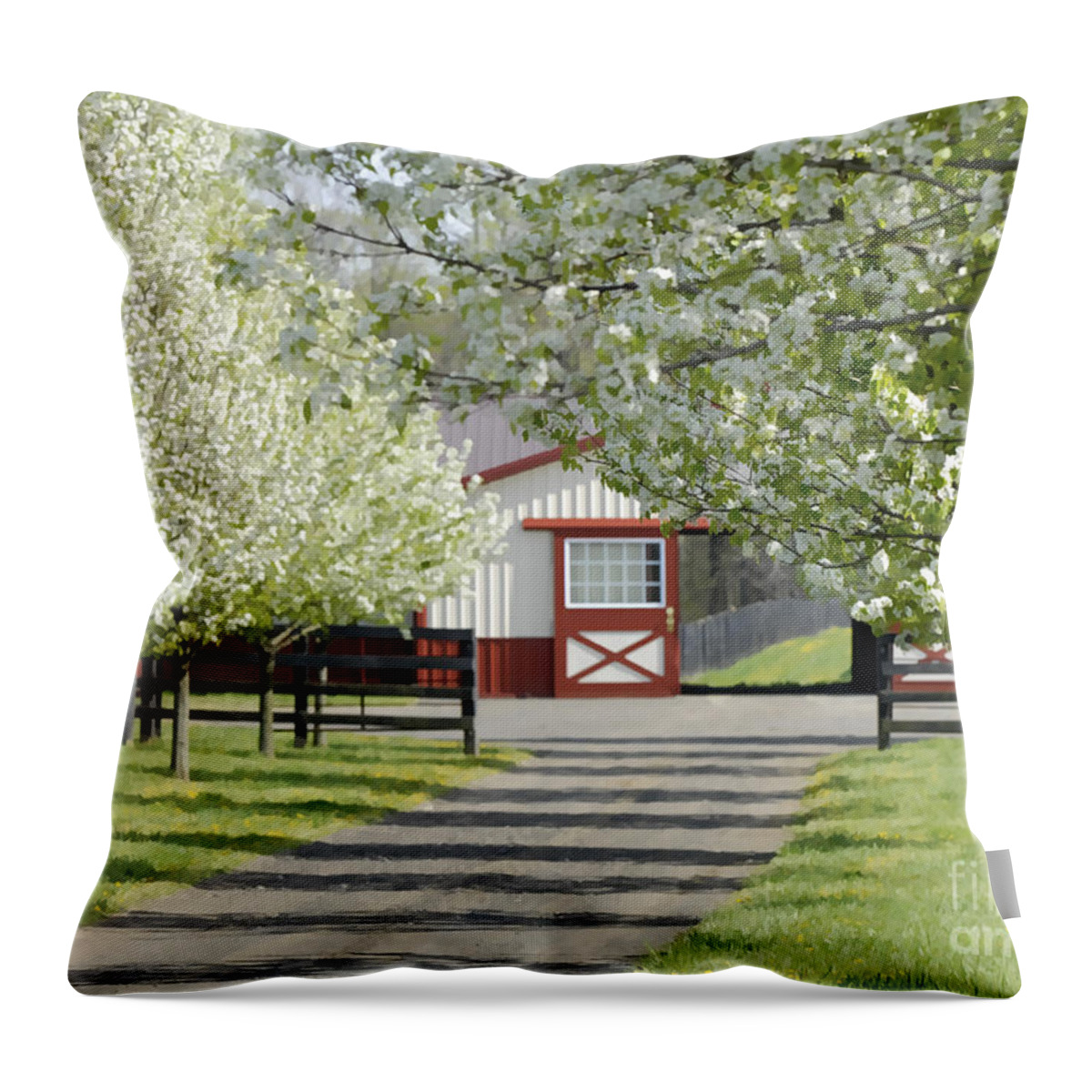 Landscape Throw Pillow featuring the photograph Spring time at the farm by Sami Martin
