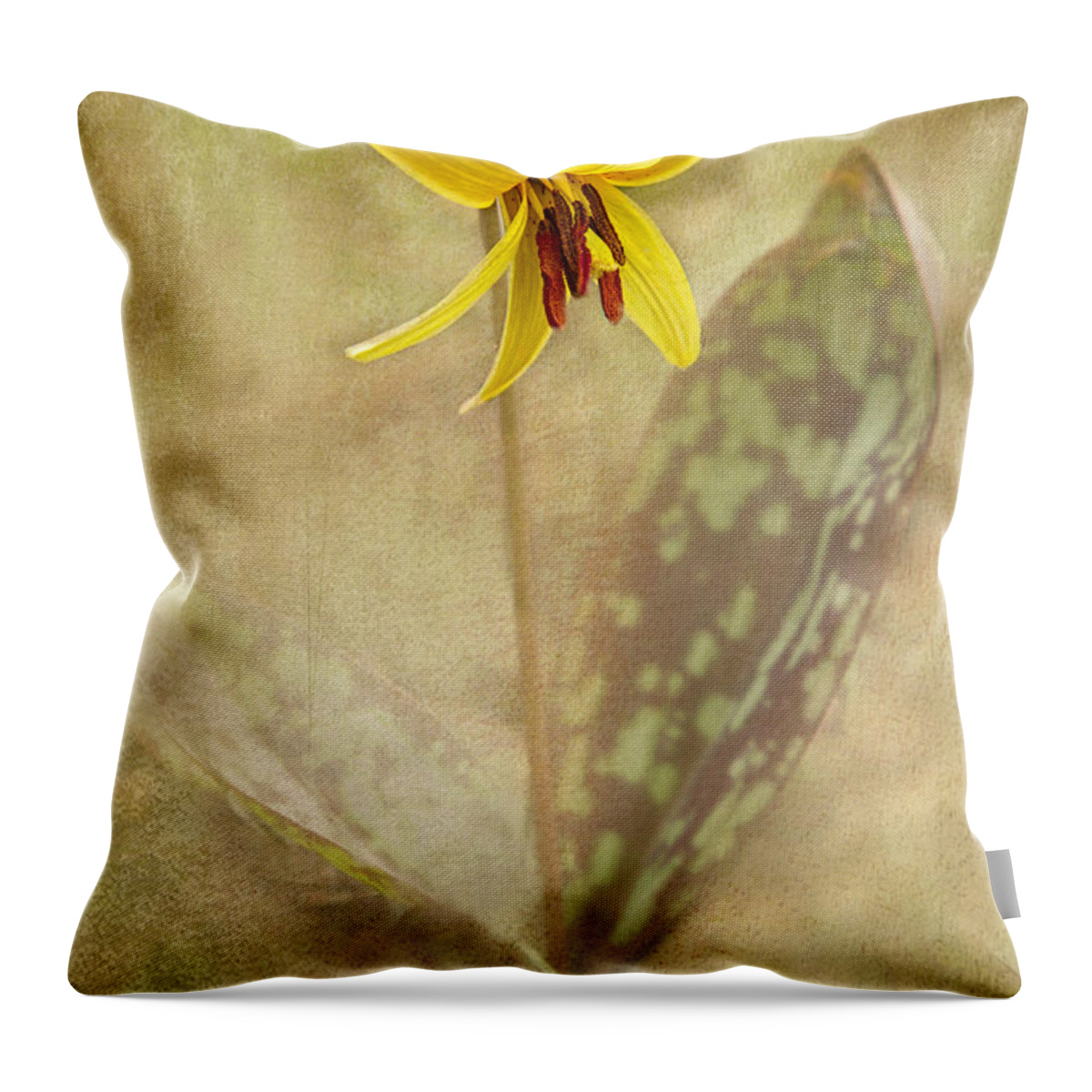 Native Throw Pillow featuring the photograph Spring Trout Lily by Marilyn Cornwell