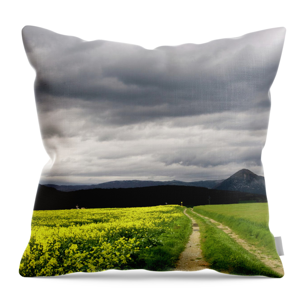 Scenics Throw Pillow featuring the photograph Spring Under Clouds by I. Lizarraga