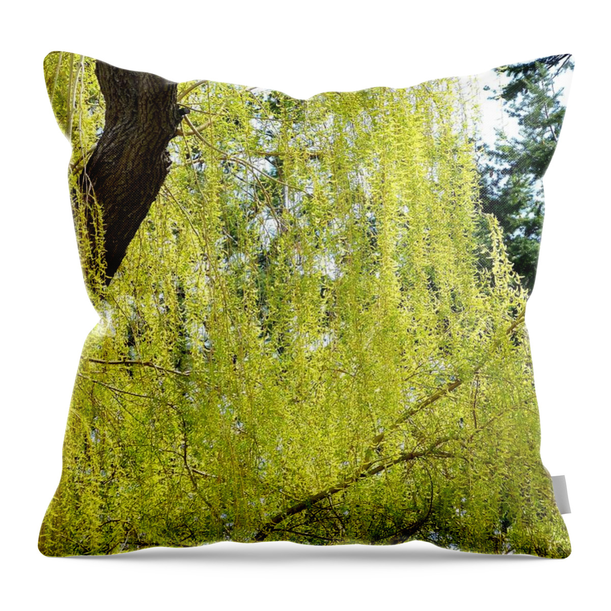 Spring Weeping Willow Throw Pillow featuring the photograph Spring Weeping Willow by Will Borden