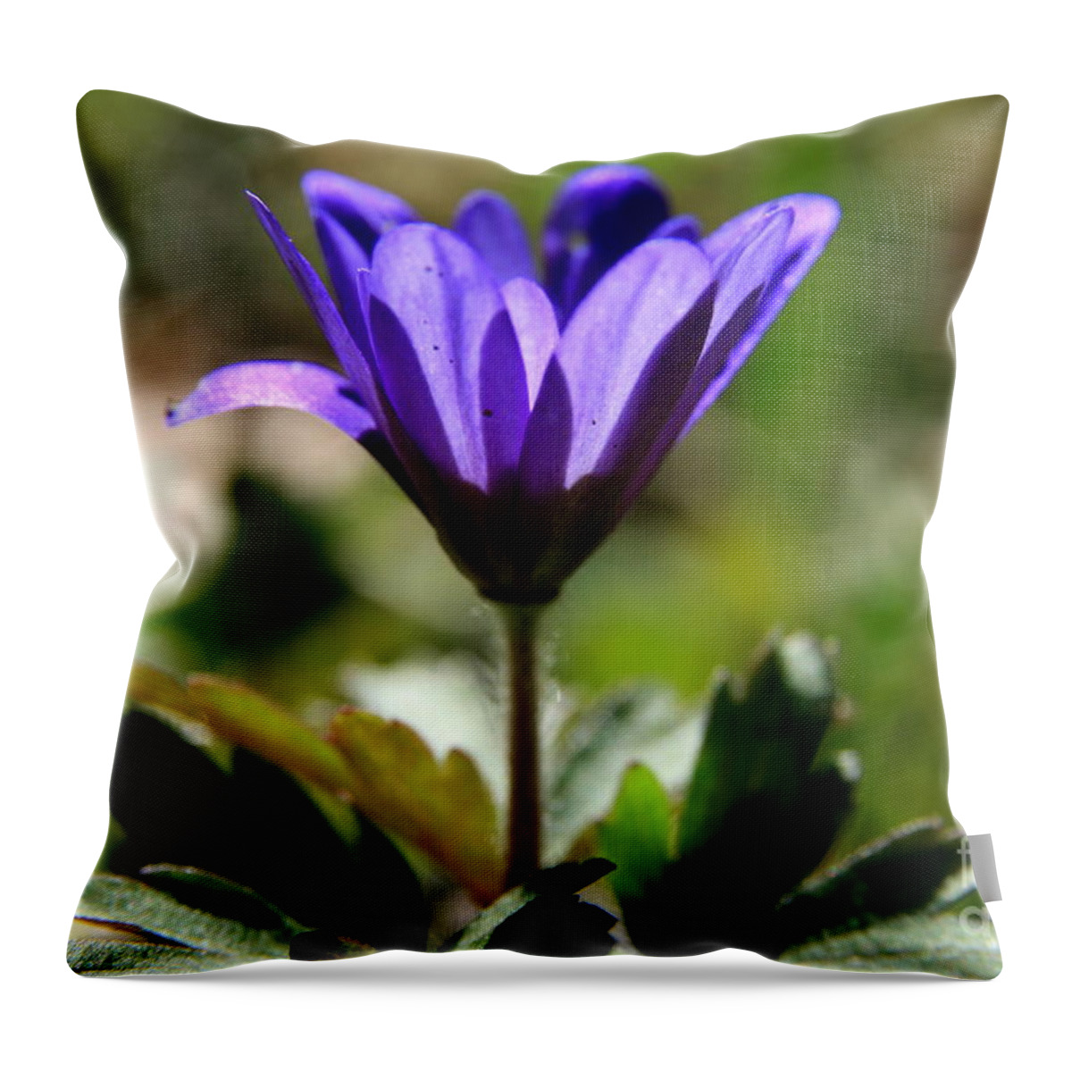 Floral Throw Pillow featuring the photograph Spring Welcome by Neal Eslinger