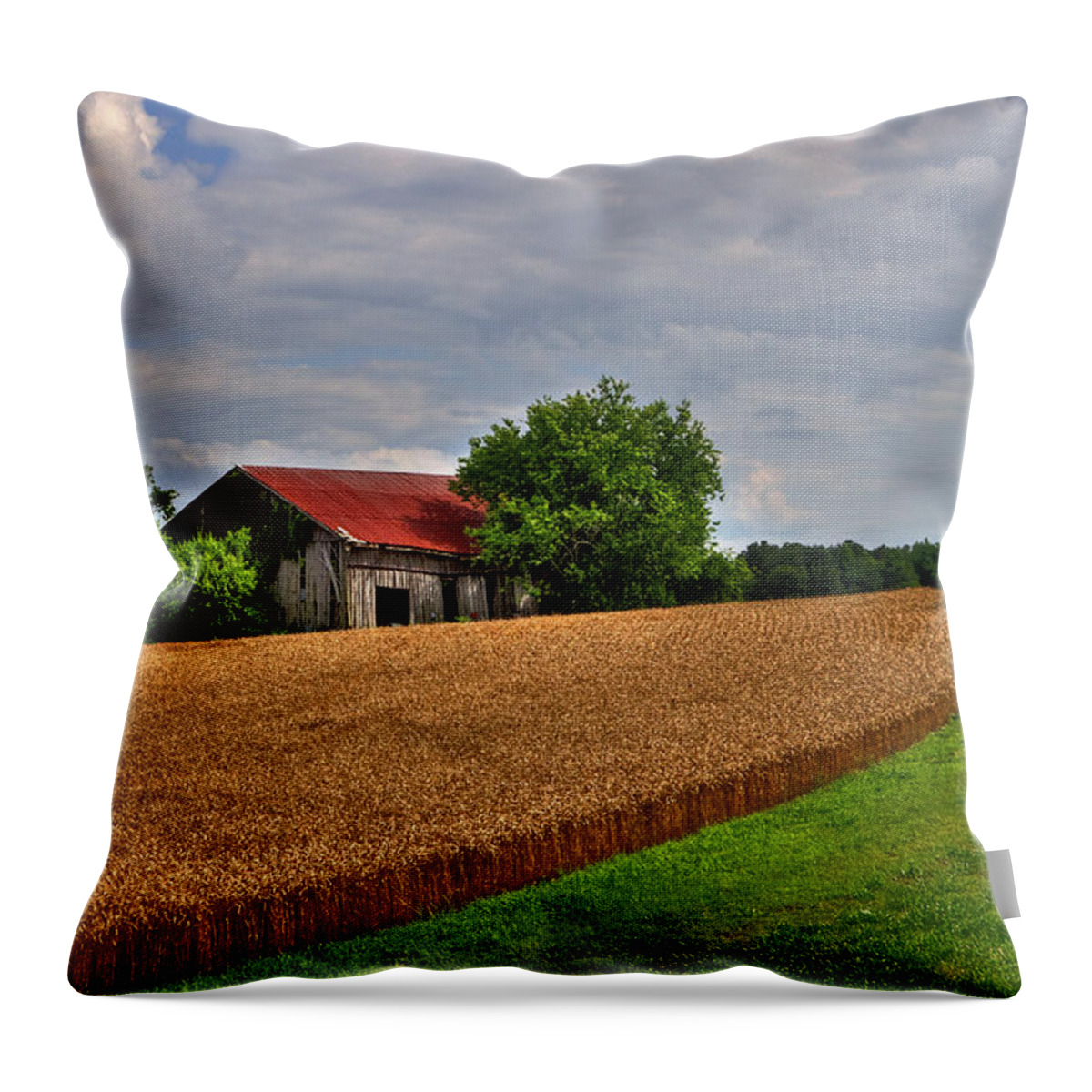 Barn Throw Pillow featuring the photograph Springhill Farms by Jerry Gammon