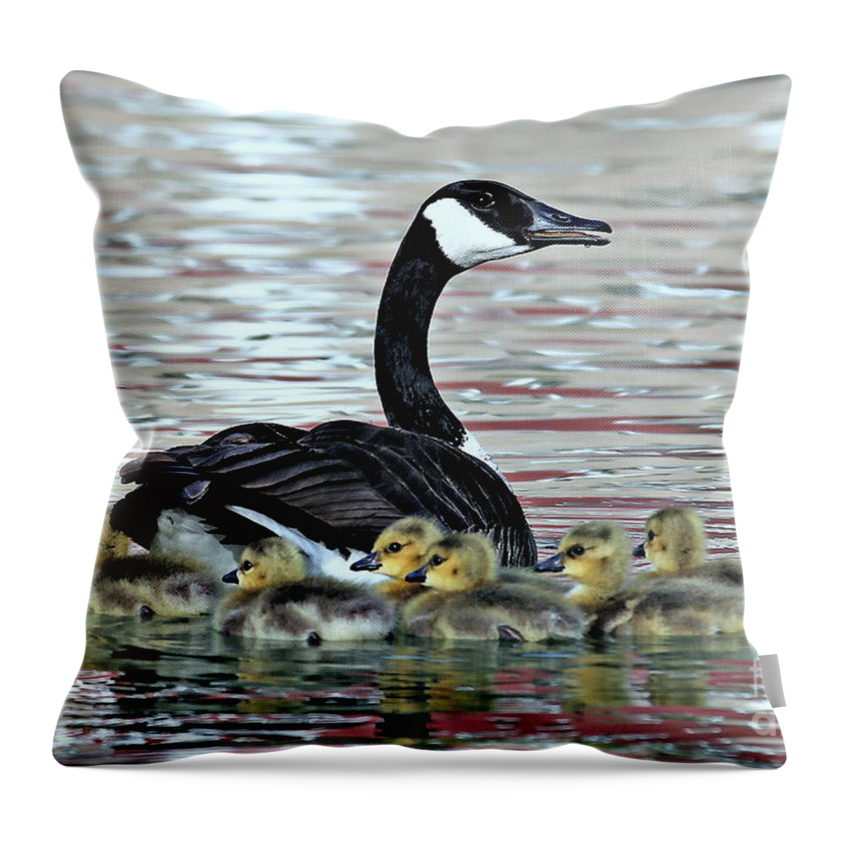 Canada Goose Throw Pillow featuring the photograph Spring's First Goslings by Elizabeth Winter