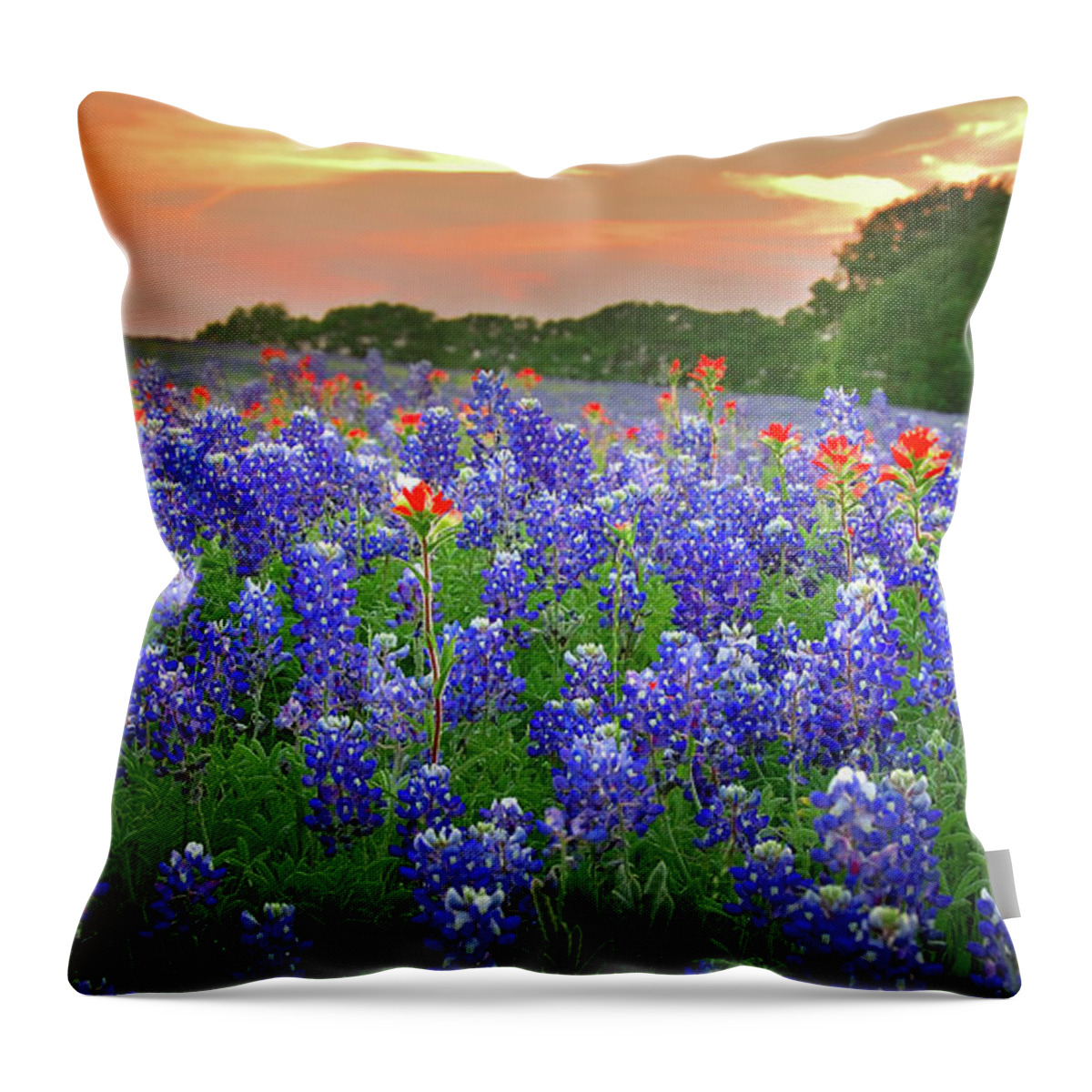 Spring Throw Pillow featuring the photograph Springtime Sunset in Texas - Texas Bluebonnet wildflowers landscape flowers paintbrush by Jon Holiday