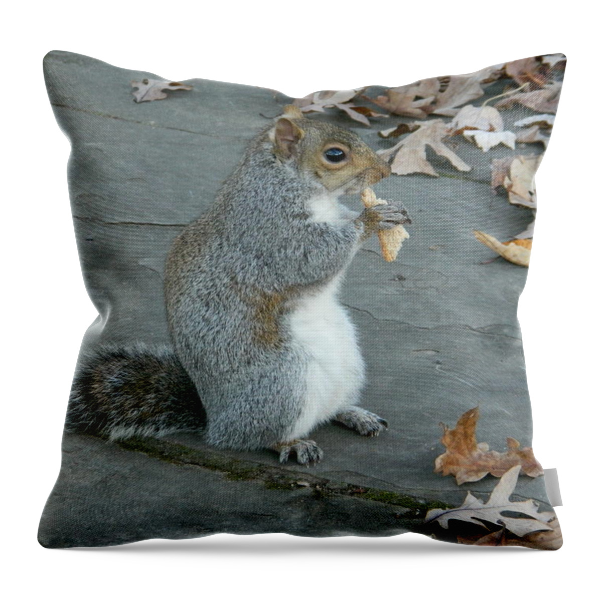 Squirrel Chomping On Bread Throw Pillow featuring the photograph Squirrel Chomping On Bread by Emmy Vickers