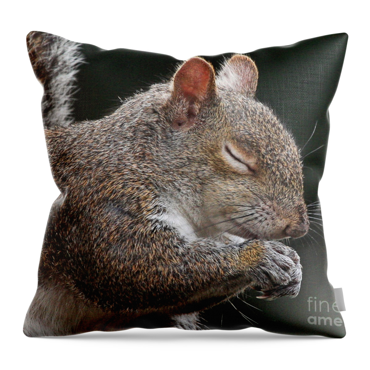 Squirrel Throw Pillow featuring the photograph Squirrel Giving Thanks by Luana K Perez