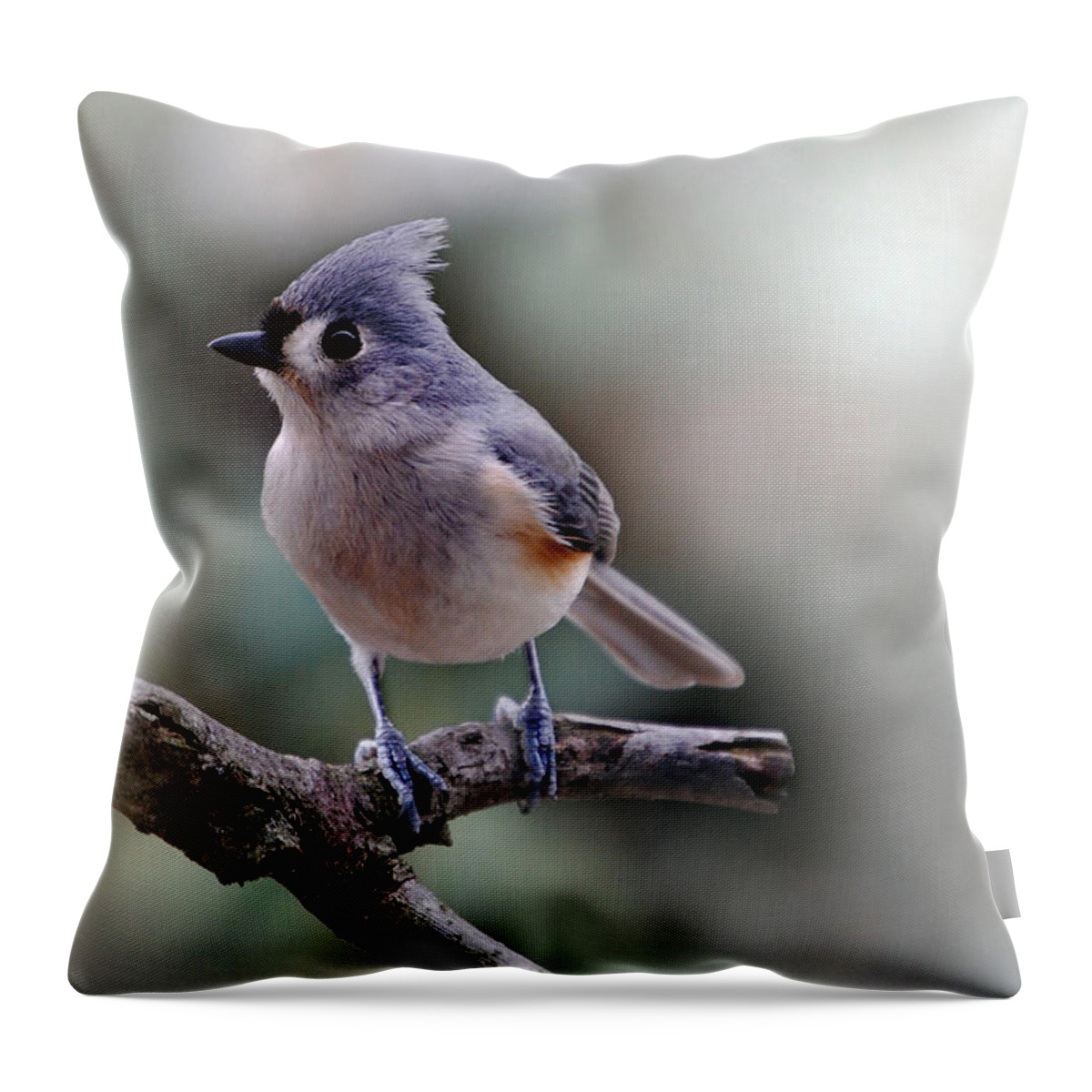 Bird Throw Pillow featuring the photograph Spring Time Titmouse by Skip Willits