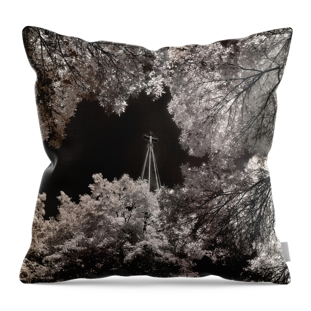 St. Mary's Throw Pillow featuring the photograph St. Marys by Jamieson Brown