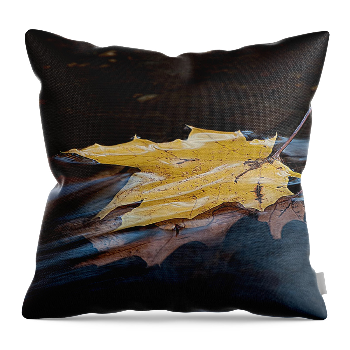 Autumn Throw Pillow featuring the photograph Stacked Autumn Leaves On Water by Gary Slawsky