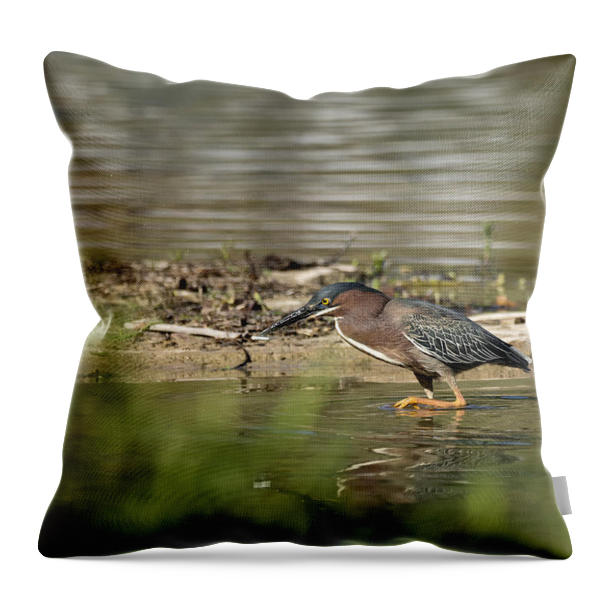 Heron Throw Pillow featuring the photograph Stalking by Betty Depee
