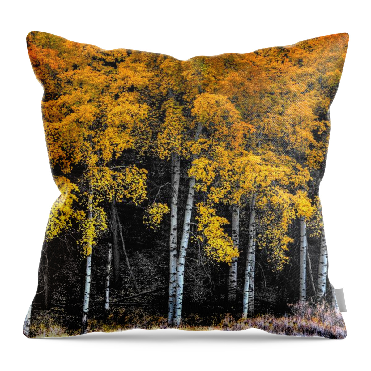 Aspen Throw Pillow featuring the photograph Stand by David Andersen