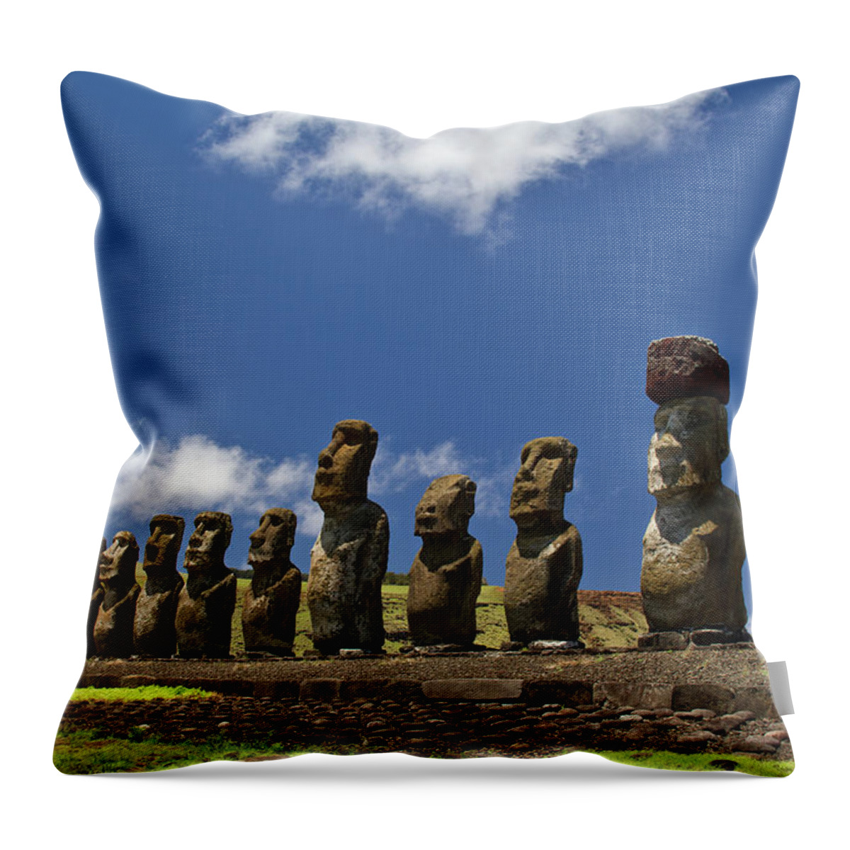 Tranquility Throw Pillow featuring the photograph Stand by Joshua Alan Davis