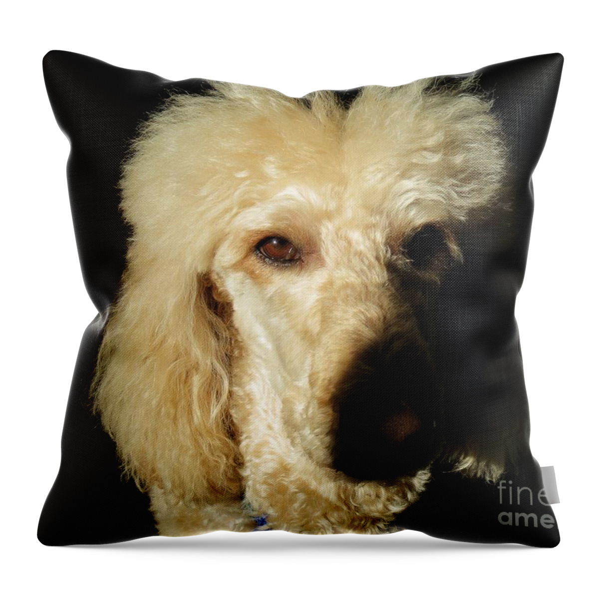 Standard Poodle Throw Pillow featuring the photograph Standard Poodle by Judy Via-Wolff
