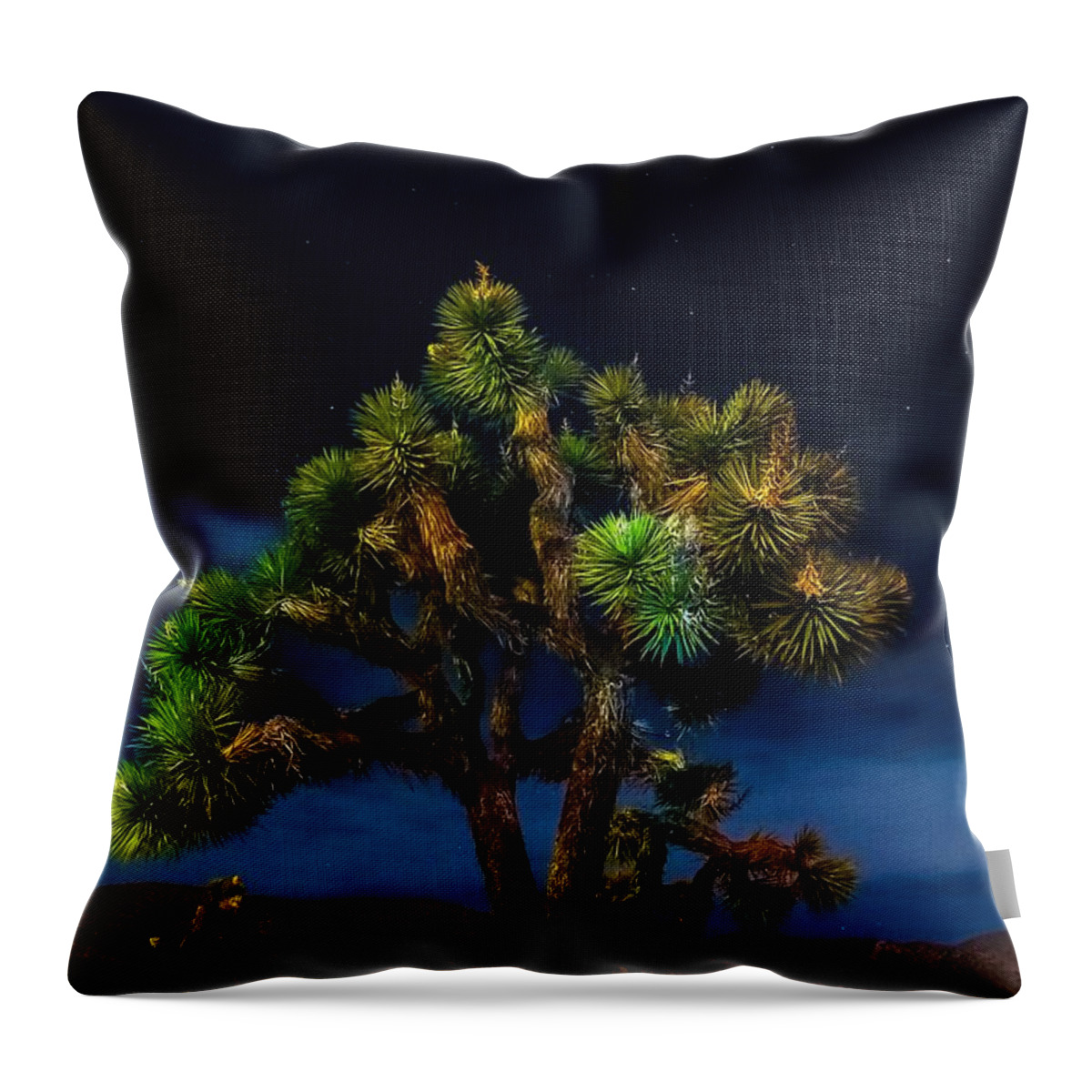 Desert Moon Throw Pillow featuring the photograph Standing by Angela J Wright