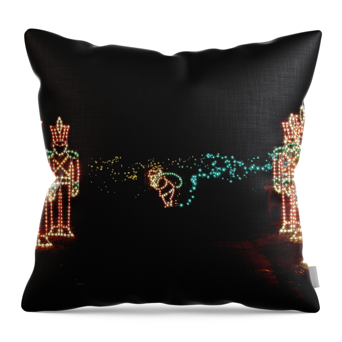 Fine Art Throw Pillow featuring the photograph Standing Guard by Rodney Lee Williams