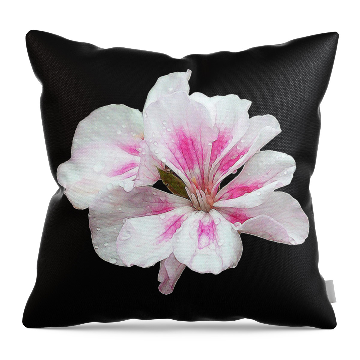 Nature Throw Pillow featuring the photograph Standing Out by Geoff Crego