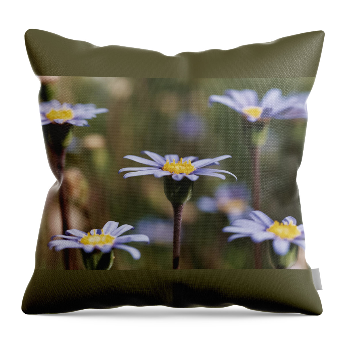 Felicia Throw Pillow featuring the photograph Standing Tall by Caitlyn Grasso