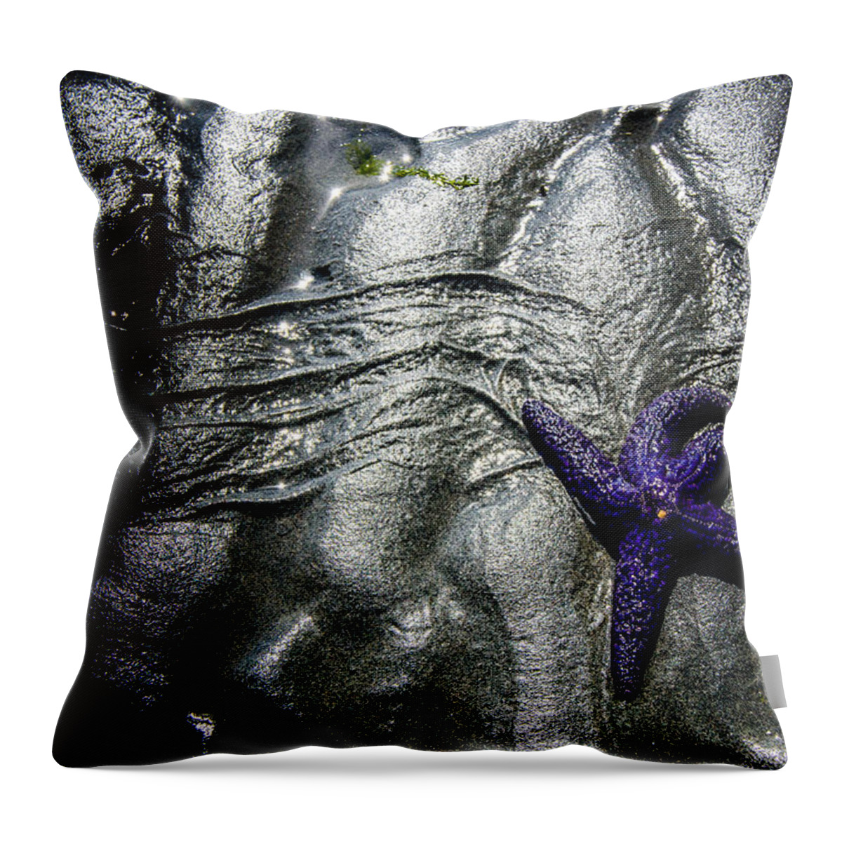 Hidden Throw Pillow featuring the photograph Star Dance by Roxy Hurtubise