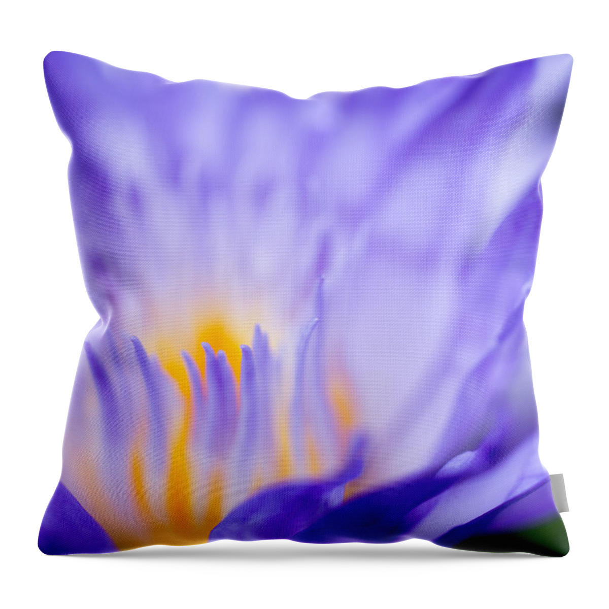 Water Lily Throw Pillow featuring the photograph Star of Siam Waterlily by Priya Ghose