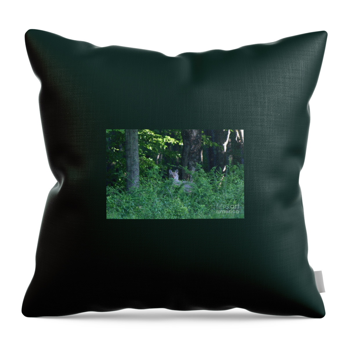 Coyote Throw Pillow featuring the photograph Eastern Coyote by Neal Eslinger