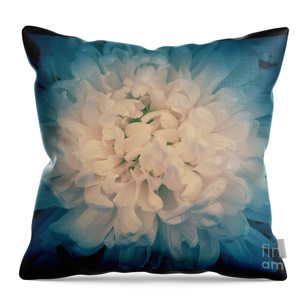 Chrysanthemums Throw Pillow featuring the photograph Starry Flower by Joan-Violet Stretch
